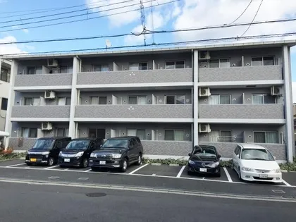 N1 SHIMAGASHIRAの画像