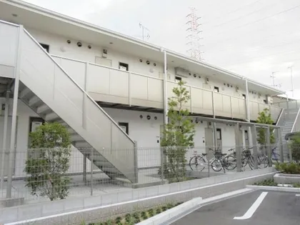 アムール ロータスの画像