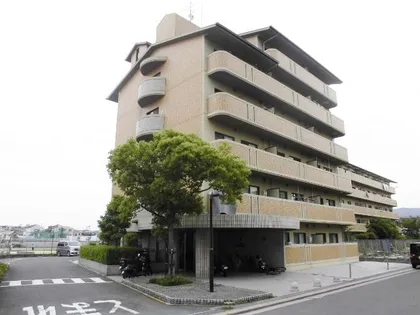 フレアコートコスモの画像