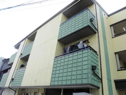 フェアリーアオイの画像