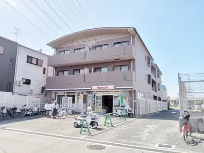 ピュアコート力の画像