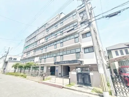 グレイシィーK Yの画像