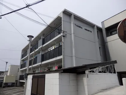 田寺ハイツ【302号室】の外観