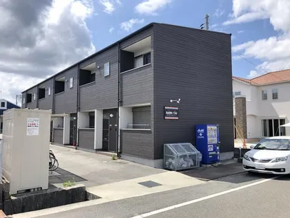 バーン タイの画像