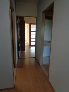 メリーメリーBの画像