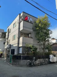 グレイシィーF Kの画像