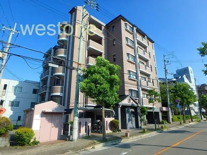 ハイム静の画像