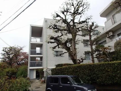 住吉グリーンハウスの画像