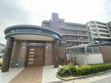 アムールサイトの画像