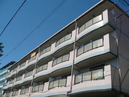 ポインセチアの画像