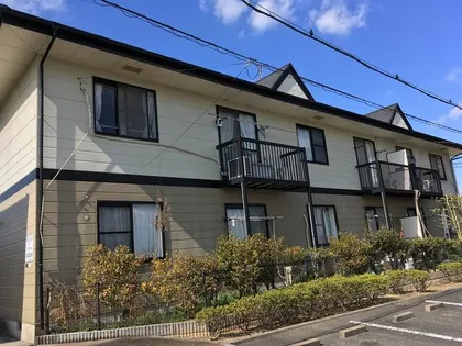 NEW ELDEM彩の画像