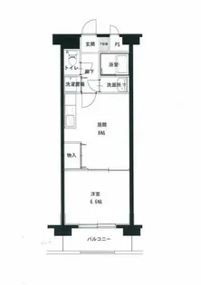 パシフィッククリオコート【503号室】の間取り