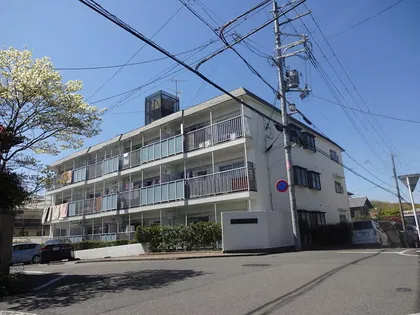 男山ハイコーポさつきの画像