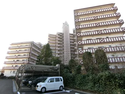 ブリティッシュティンバー尾崎の画像