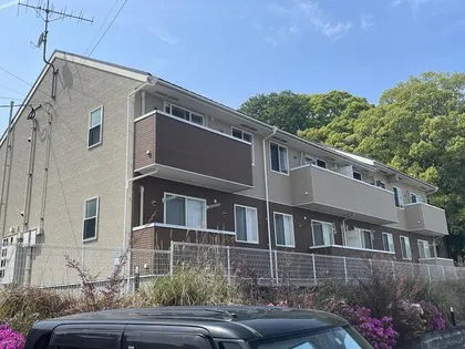 プラシードⅡの画像