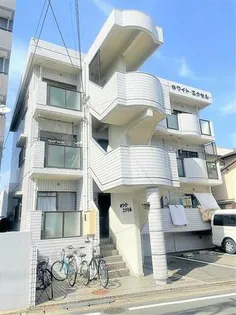 ホワイトエクセルの画像