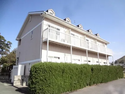 カミーリアの画像