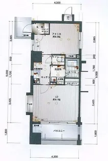 サヴォイ テンジンクォーター【0513号室】の間取り