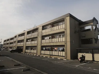 楠根スカイハイツIの画像