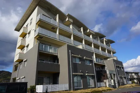 ロジェ緑の画像