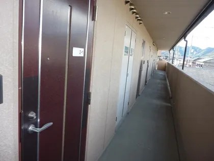 セルーリアの画像