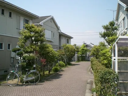 叶い坂の画像