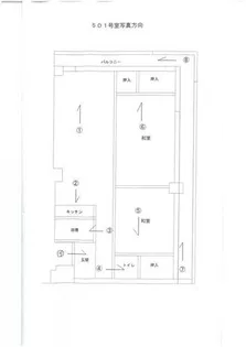 文の里コーポ【501号室】の間取り