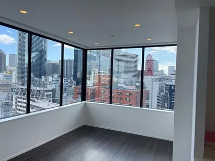 ロジュマンタワー梅田の画像