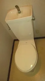 サンパーク丸山【201号室】の内装