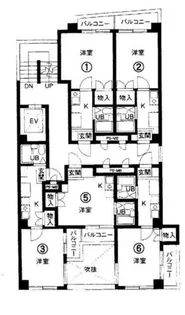 コーポ細木【301号室】の間取り