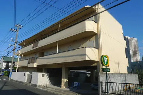 ドゥエルミユキの画像