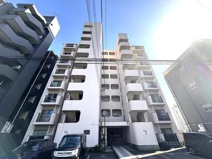 ミリオンコーポラス白菊【801号室】の外観