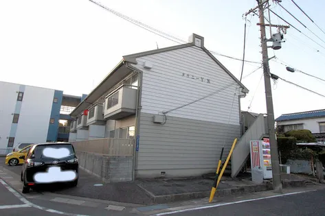 タウニーY Nの画像