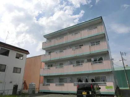 新柏原ビレッジ1号の画像