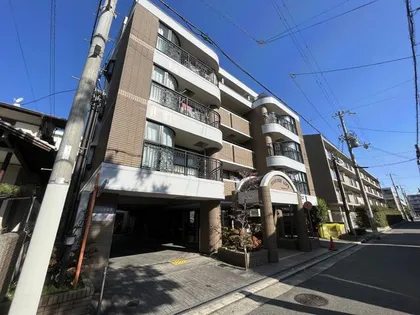 ステイトリーライフの画像