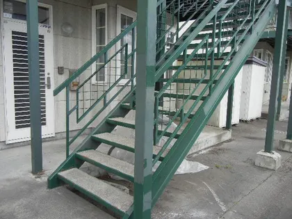 モリスピレネIIの画像