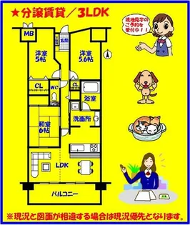 分譲賃貸 レインボー第二萩原【6階】の間取り