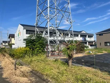 タウニー野村の画像