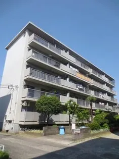 国土コーポ諏訪ノ森 D棟【301号室】の間取り