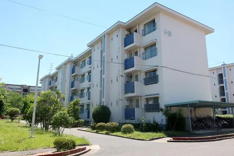 新金岡第六次住宅 八棟【4階】の外観