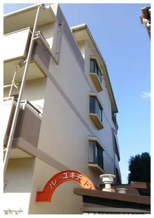 ソレーユキチコウの画像