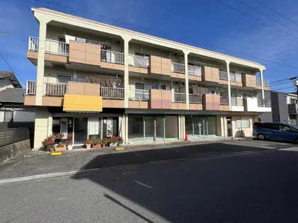 ビルカネヒチの画像