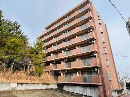 マノワールサンポーの画像