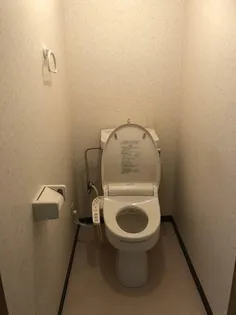 霞月マンション【3階】の内装