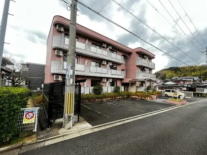 グレースF Cの画像