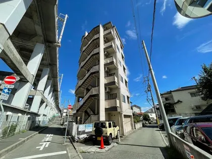 サニーグリーンの画像