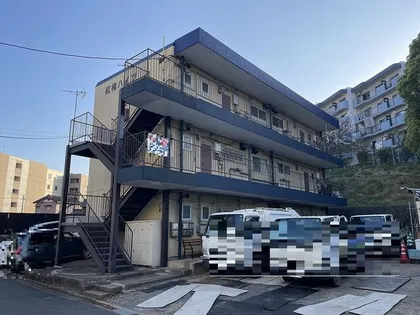ニューハイツ紅梅の画像