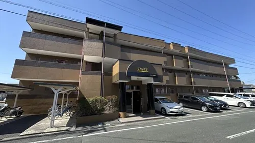 グレース向山の画像