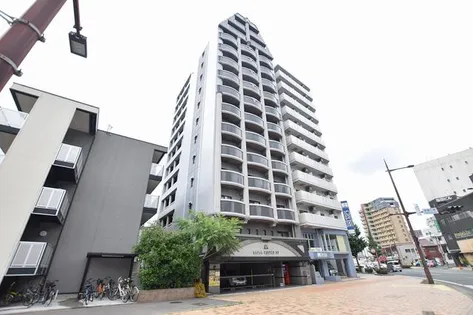 ロイヤルキャッスル【1002号室】の外観