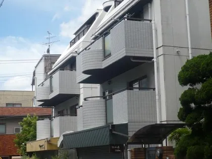 コートY Fの画像